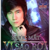 Nuoc Mat Vi Sao Roi artwork