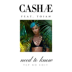 Need to Know (feat. Toian) [Tep No Edit] [Tep No Edit] - Single by Cashae album reviews, ratings, credits