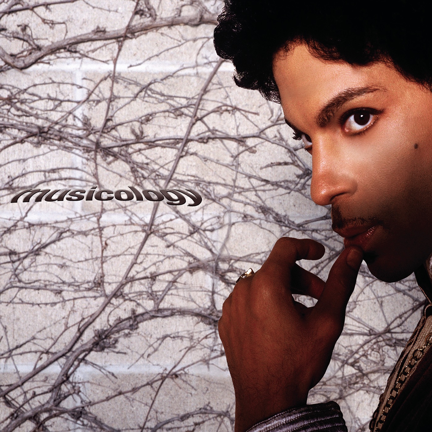 prince musicology download mp3