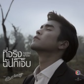 ที่จริงฉันก็เจ็บ (เพลงประกอบละคร ลมซ่อนรัก) artwork