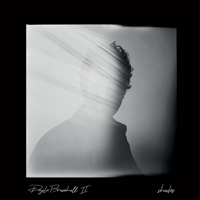 Doyle Bramhall II - Shades artwork