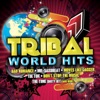 Tribal World Hits