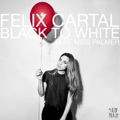 Black to White (feat. Miss Palmer) Song Lyrics