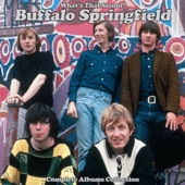 Buffalo Springfield - Everybody's Wrong (Remastered) [Mono]