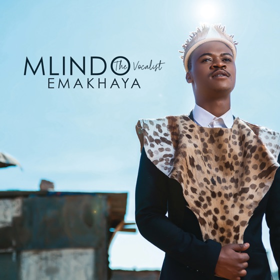 Cover artwork for Egoli (feat. Sjava)