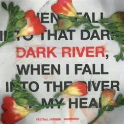 Dark River (Festival Version) - Single by Sebastian Ingrosso album reviews, ratings, credits