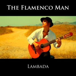 The Flamenco Man - Firework (Instrumental).mp3