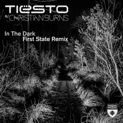 In the Dark (feat. Christian Burns) [First State Extended Remix] - Single - Tiësto