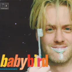 Goodnight - EP - Babybird