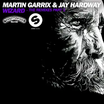 Wizard (Remixes) - EP by Martin Garrix & Jay Hardway album reviews, ratings, credits