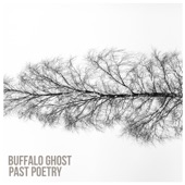 Buffalo Ghost - Digital Love