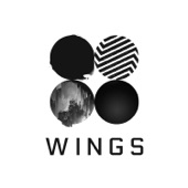 Wings artwork