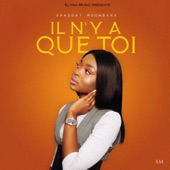 Il n'y a que toi artwork