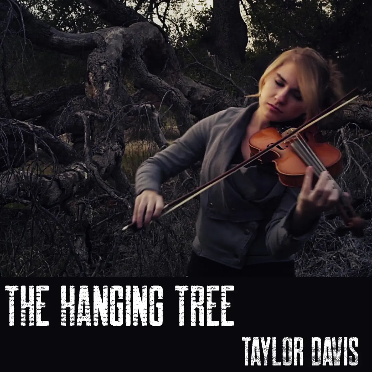 Taylor Davis Music Rankings