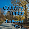 Precious Memories - Jimmy Reeves