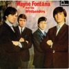Wayne Fontana & The Mindbenders - Skinny Minnie