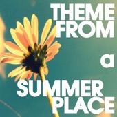 Theme From a Summer Place artwork