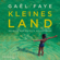Gaël Faye - Kleines Land