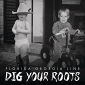 Dig Your Roots artwork