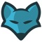 Acoustic Adventures - BlueFoxMusic lyrics