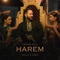 Harem (feat. Emilia & Costi) artwork