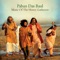 Murshidi (Melody from the Baul Trail) - Paban Das Baul lyrics