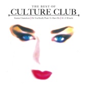The Best of Culture Club artwork
