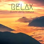 Relax - Suoni della Natura, Musica Rilassante New Age, Pianoforte, Flauto, Chitarra in chiave New Age per Rilassarsi Profondamente artwork