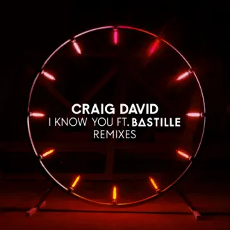 I Know You (feat. Bastille) [Canto Remix] by Craig David song reviws