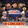 Los Rieleros del Norte: En Concierto