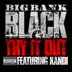 Try It Out (feat. Kandi) song reviews