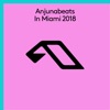 Anjunabeats in Miami 2018, 2018