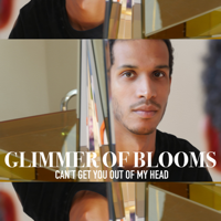 ℗ 2015 Glimmer of Blooms