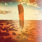 Xavier Rudd - Full Circle