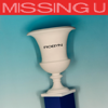 Robyn - Missing U  artwork