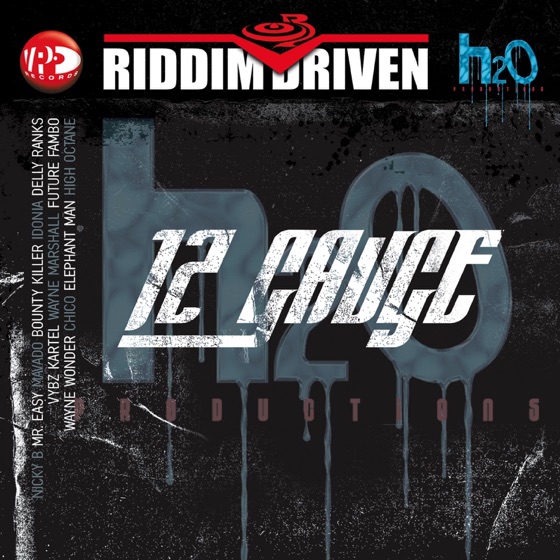 Cover artwork for 12 Gauge