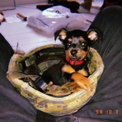 Lou3y (feat. $KEE) - Single - D[di:]