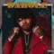 25 x 4 (feat. Dee Gomes) - Mike Darole lyrics