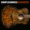 Don't You (Forget About Me) by Simple Minds iTunes Track 10