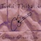 Little Mystery - Todd Thibaud lyrics