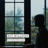 Hot Mulligan - Dary