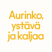 Aurinko, Ystävä Ja Kaljaa artwork