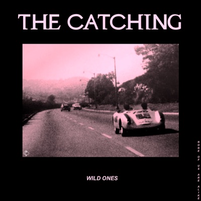 Wild Ones - The Catching | Shazam