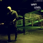 Olamide - Wavy Level