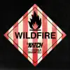 Wildfire (feat. Ce'Cile & Shane Eli) - Single album lyrics, reviews, download