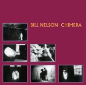 Bill Nelson - Tender Is the Night