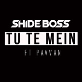 Tu Te Mein (feat. Pavvan) artwork