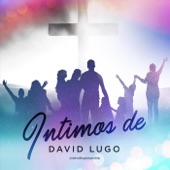 Íntimos de David Lugo artwork