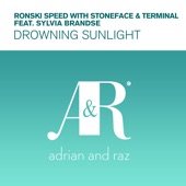 Drowning Sunlight (feat. Sylvia Brandse) [Dub] artwork