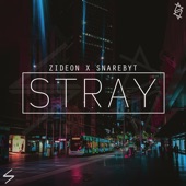 Stray (feat. Zideon) artwork
